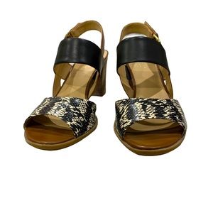 Naturalized Chunky Heel Sandal Size 9M